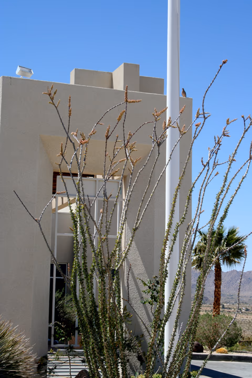 Exterior view of a beige building with a tall white flagpole in front. There are tall, thin desert plants with sparse leaves and a palm tree nearby. The sky is clear and blue, and mountains are visible in the background.