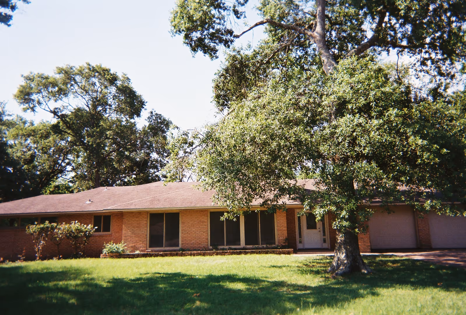 Single-story brick building with a brown roof, large windows, and a white front door partially obscured by a large tree in the front yard. The lawn is green and well-maintained with additional trees and shrubs around the property.