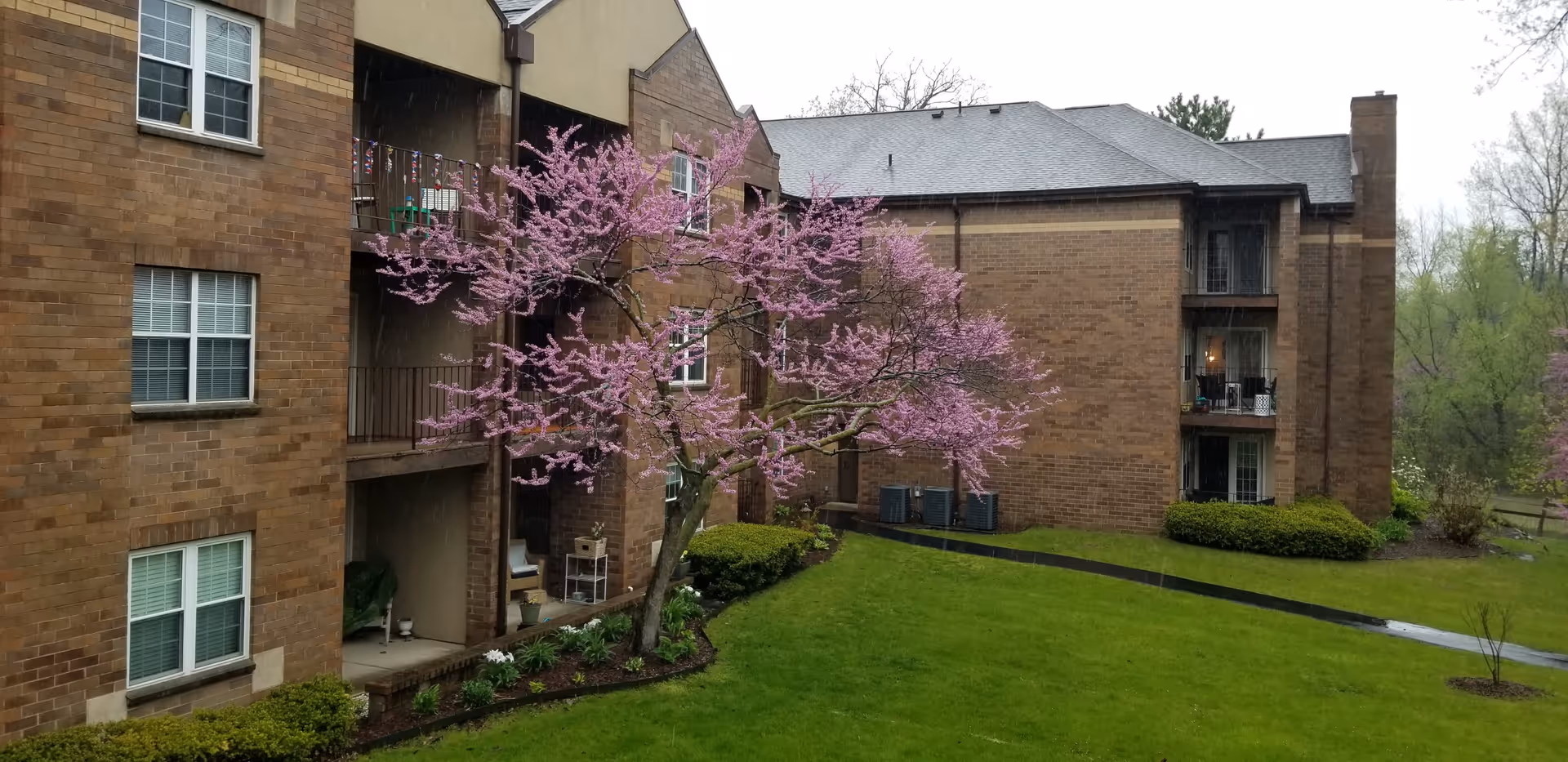 Exterior view of a brick residential building with balconies and windows. In front of the building, there is a blooming tree with pink flowers and a well-maintained green lawn with shrubs and a paved walkway.