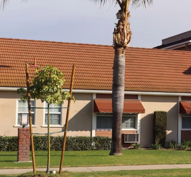 Exterior view of a single-story building with a red tiled roof, beige walls, and windows with red awnings. There is a palm tree and a smaller tree supported by wooden stakes in front of the building, along with a well-maintained lawn and a sidewalk.