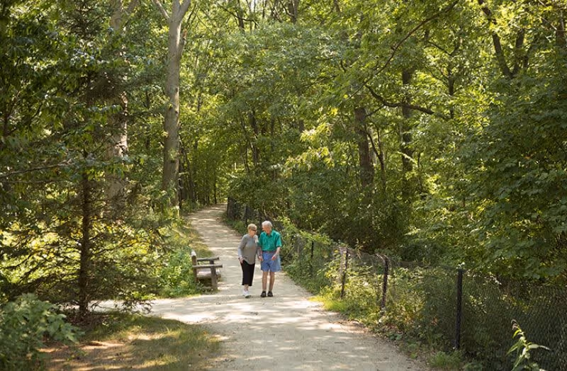 An elderly couple walking together on a shaded gravel path surrounded by lush green trees and foliage. There is a wooden bench along the path and a black chain-link fence on the right side.