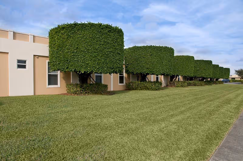 Exterior view of a building with a row of neatly trimmed square-shaped trees and a well-maintained green lawn under a partly cloudy sky.