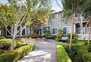Photo 4 of Ivy Park at San Ramon