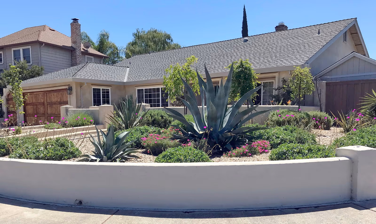 Exterior view of a single-story residential building with a well-maintained front garden featuring large agave plants, various shrubs, and small flowering plants, under a clear blue sky.