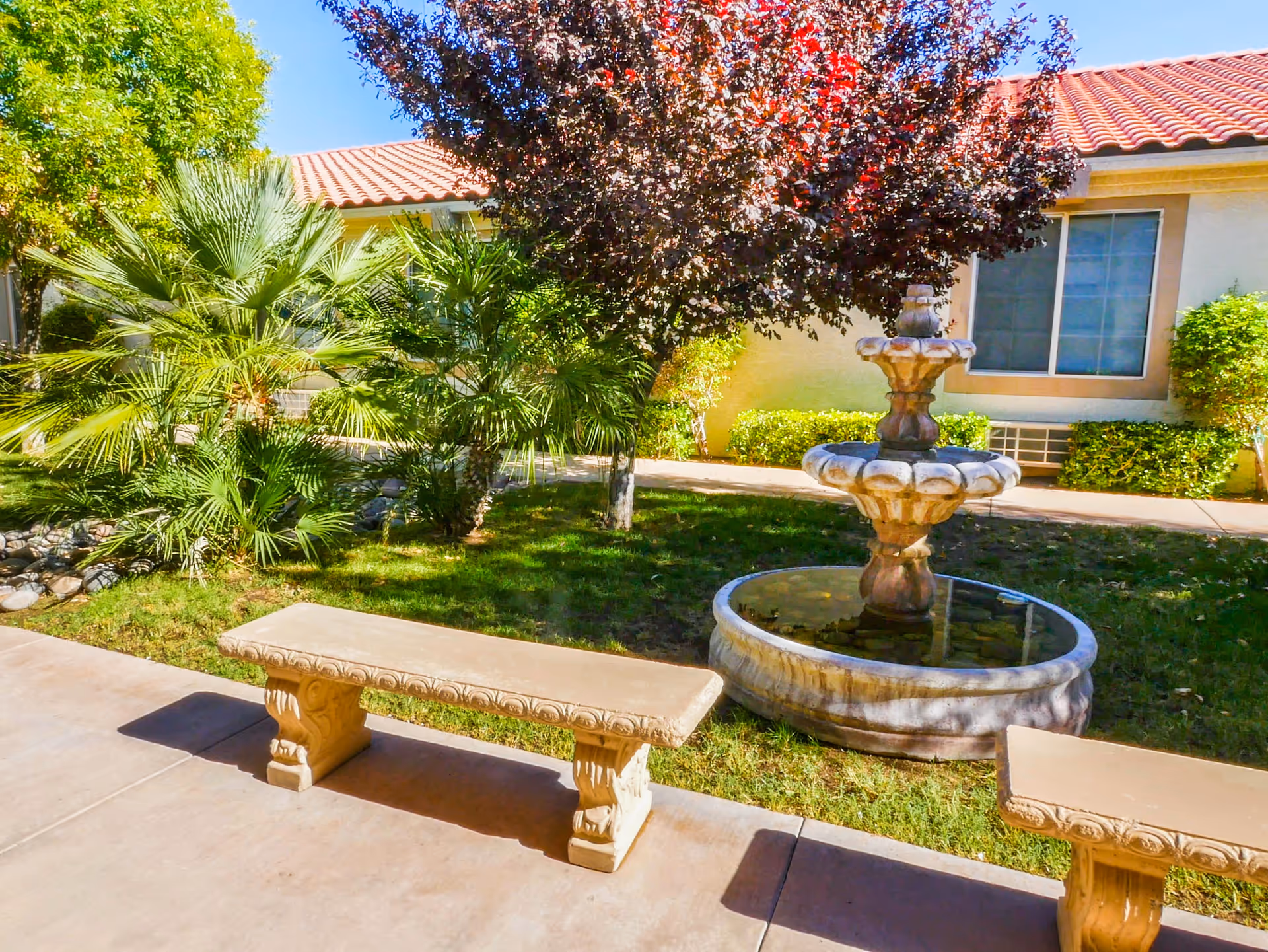 Outdoor courtyard area with a stone fountain surrounded by green grass, palm trees, and other plants. Two stone benches are placed on a concrete pathway near the fountain. A building with a tiled roof and windows is visible in the background under a clear blue sky.