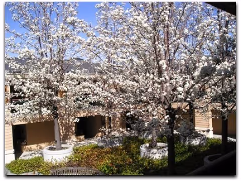 Photo 15 of The Terraces of Los Gatos