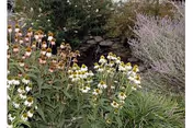 Photo 8 of Ecumenical Retirement Community