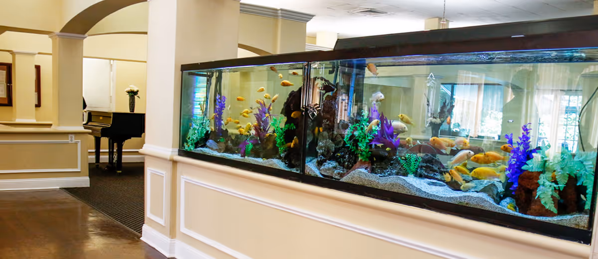 Photo 11 of Signature Senior Living