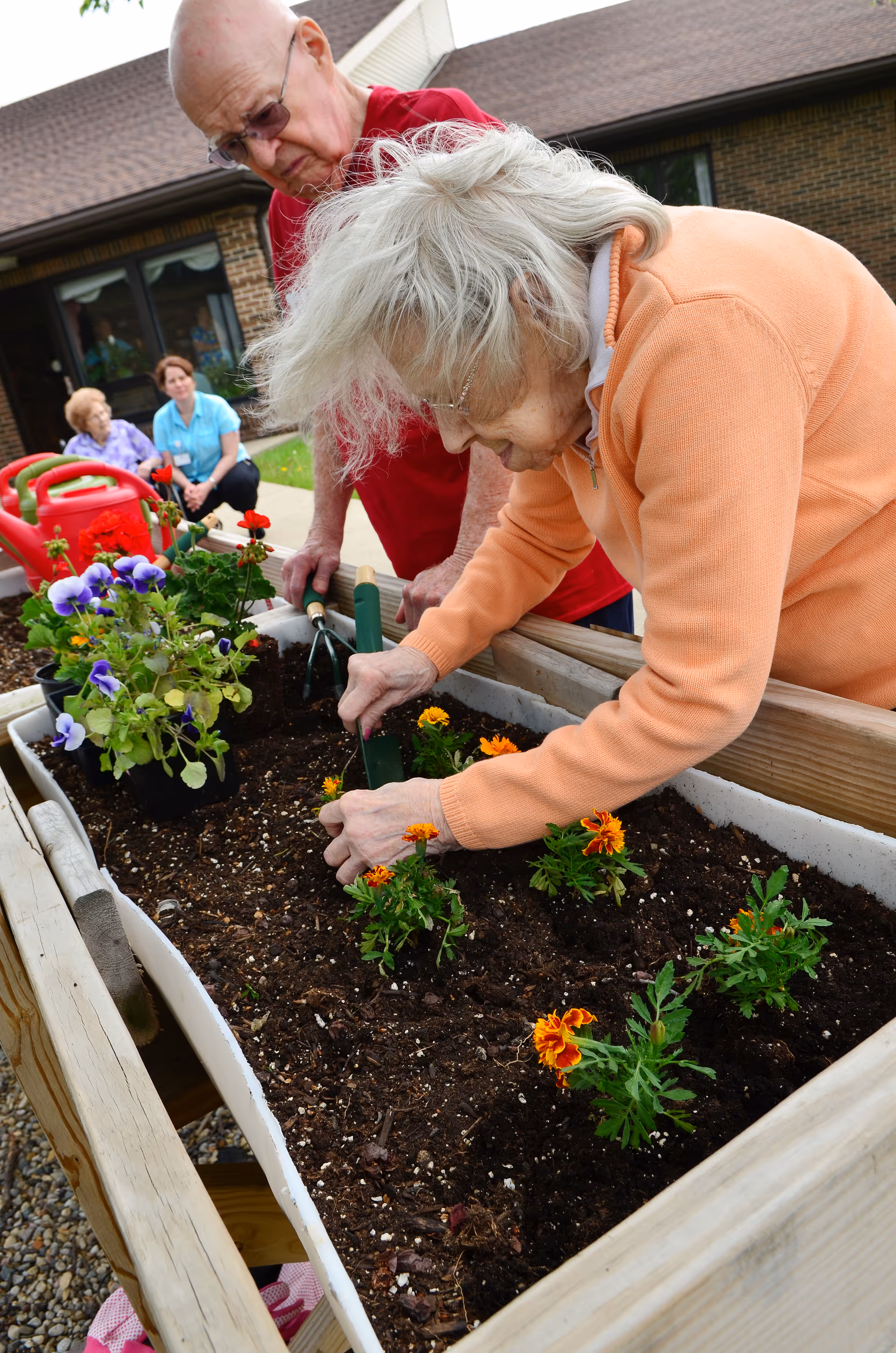 Two elderly individuals planting flowers in a raised garden bed outdoors, with a brick building in the background and two other people sitting on a bench nearby.