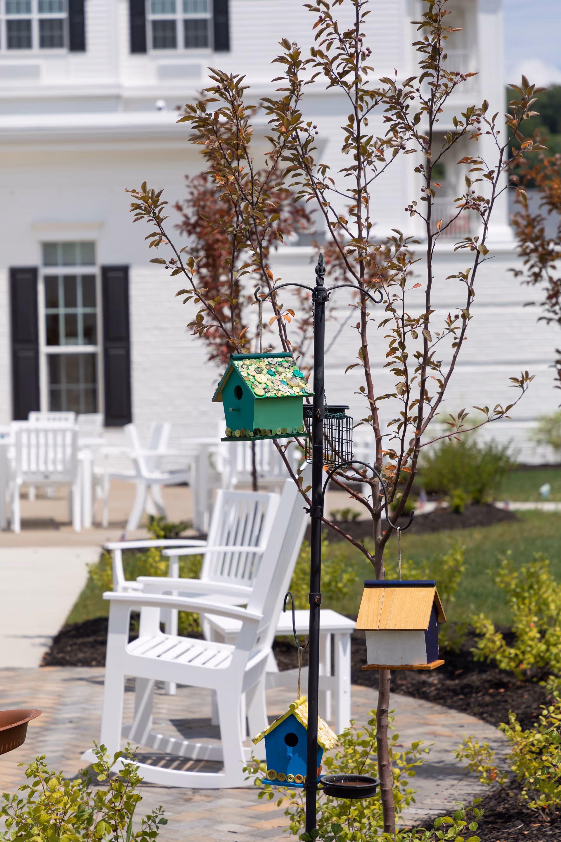 Outdoor seating area with white rocking chairs on a paved patio near a small tree with colorful birdhouses hanging from a black metal stand, in front of a white building with black shutters.