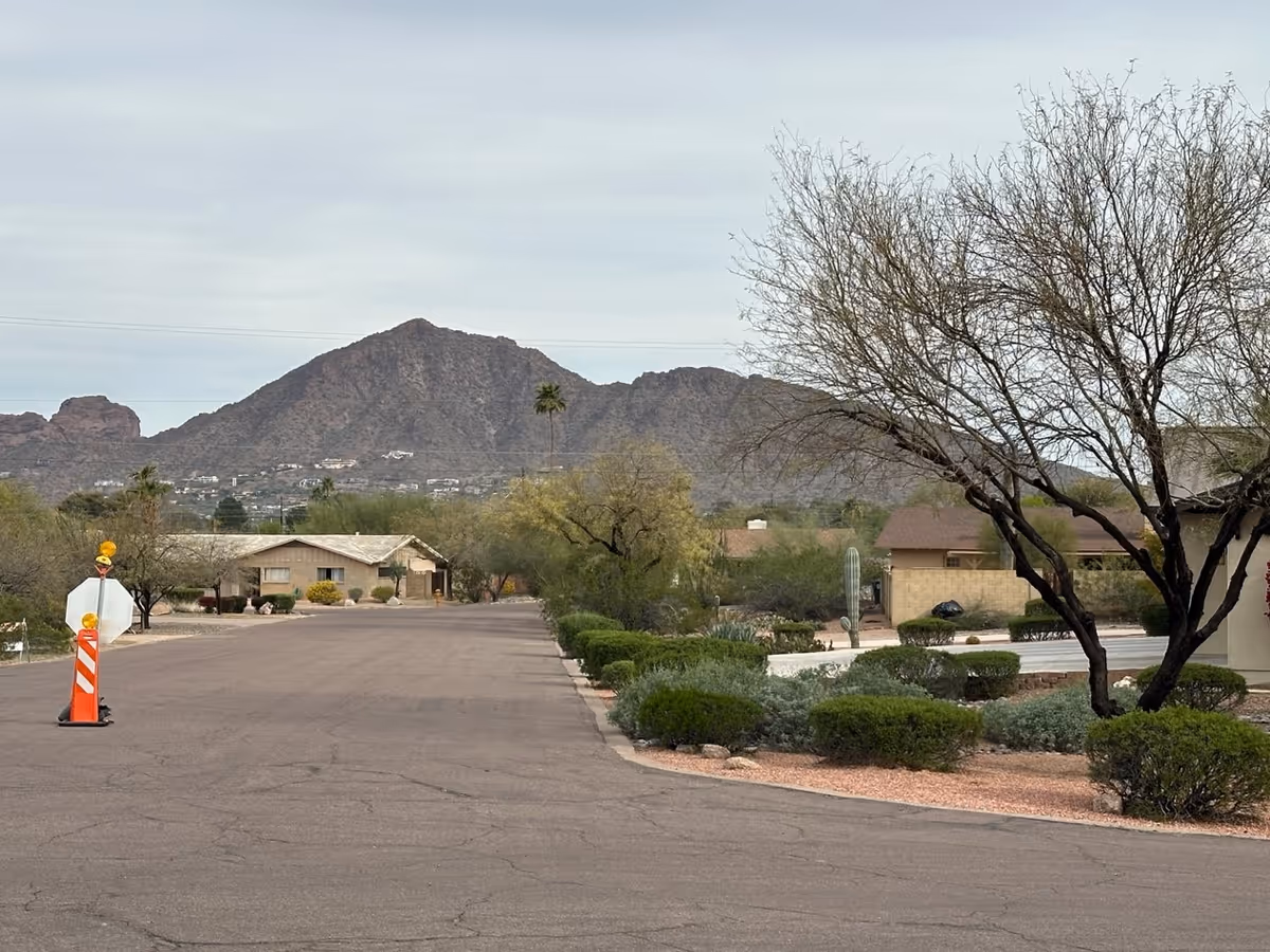 A quiet residential street with desert landscaping, including bushes and trees, with mountains in the background under a cloudy sky.