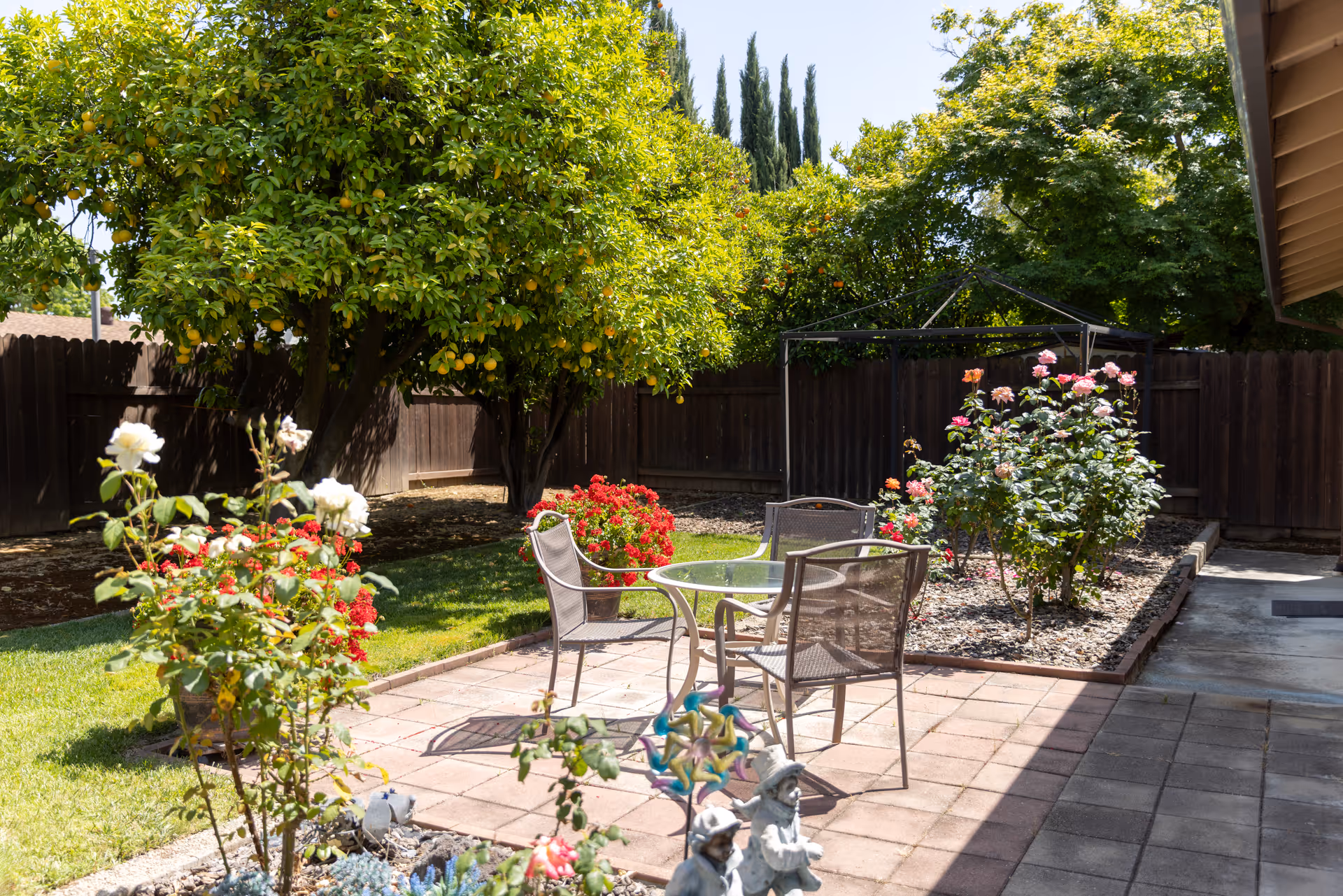 A sunny outdoor garden area with a glass-top table and four metal chairs on a tiled patio. Surrounding the patio are green grass, blooming rose bushes with pink and white flowers, and several lemon trees. A wooden fence encloses the garden, and there is a small garden statue and a colorful pinwheel in the foreground.
