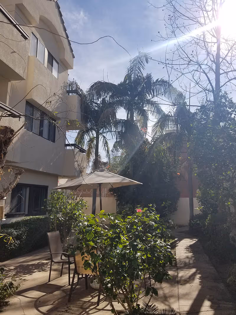 Outdoor patio area with a table, chairs, and an umbrella surrounded by green plants and palm trees, adjacent to a multi-story beige building under a sunny sky.