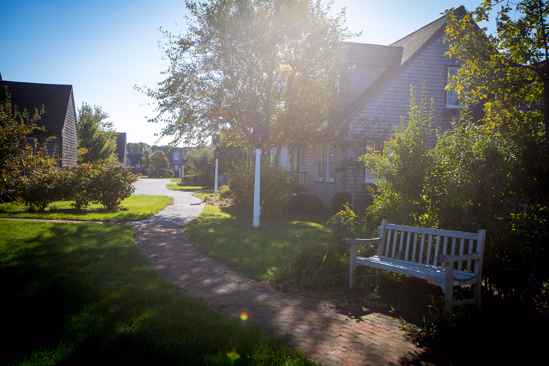 A sunlit outdoor pathway lined with grass and bushes leading past residential buildings with wooden siding. A wooden bench is placed on the right side of the brick path, surrounded by greenery and trees.