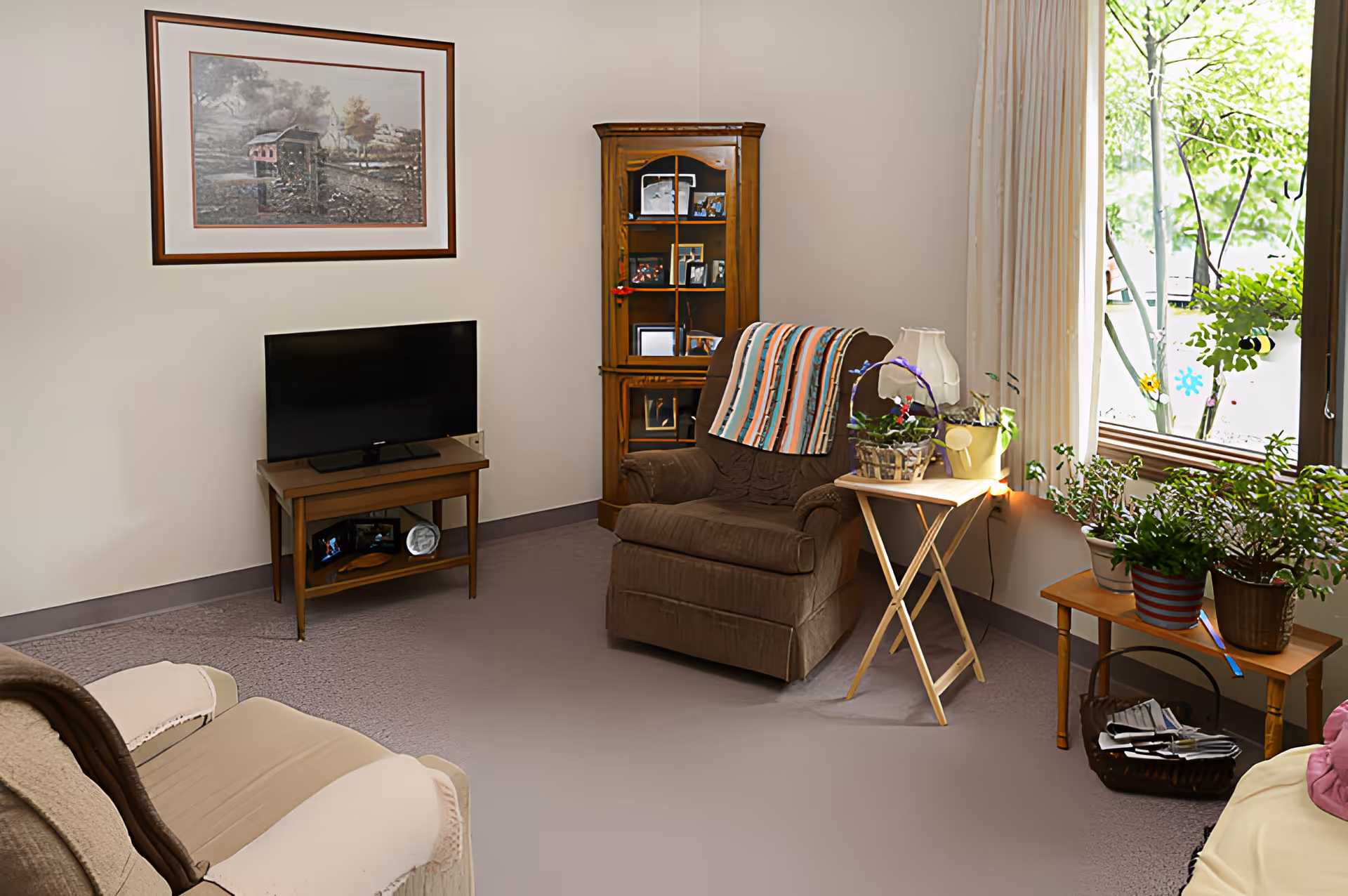 A cozy living room area with a brown armchair draped with a striped blanket, a small wooden TV stand with a flat-screen television, a corner cabinet with framed photos, a side table with a lamp and potted plants, and a window with cream-colored curtains letting in natural light. There are additional plants on a wooden bench near the window.