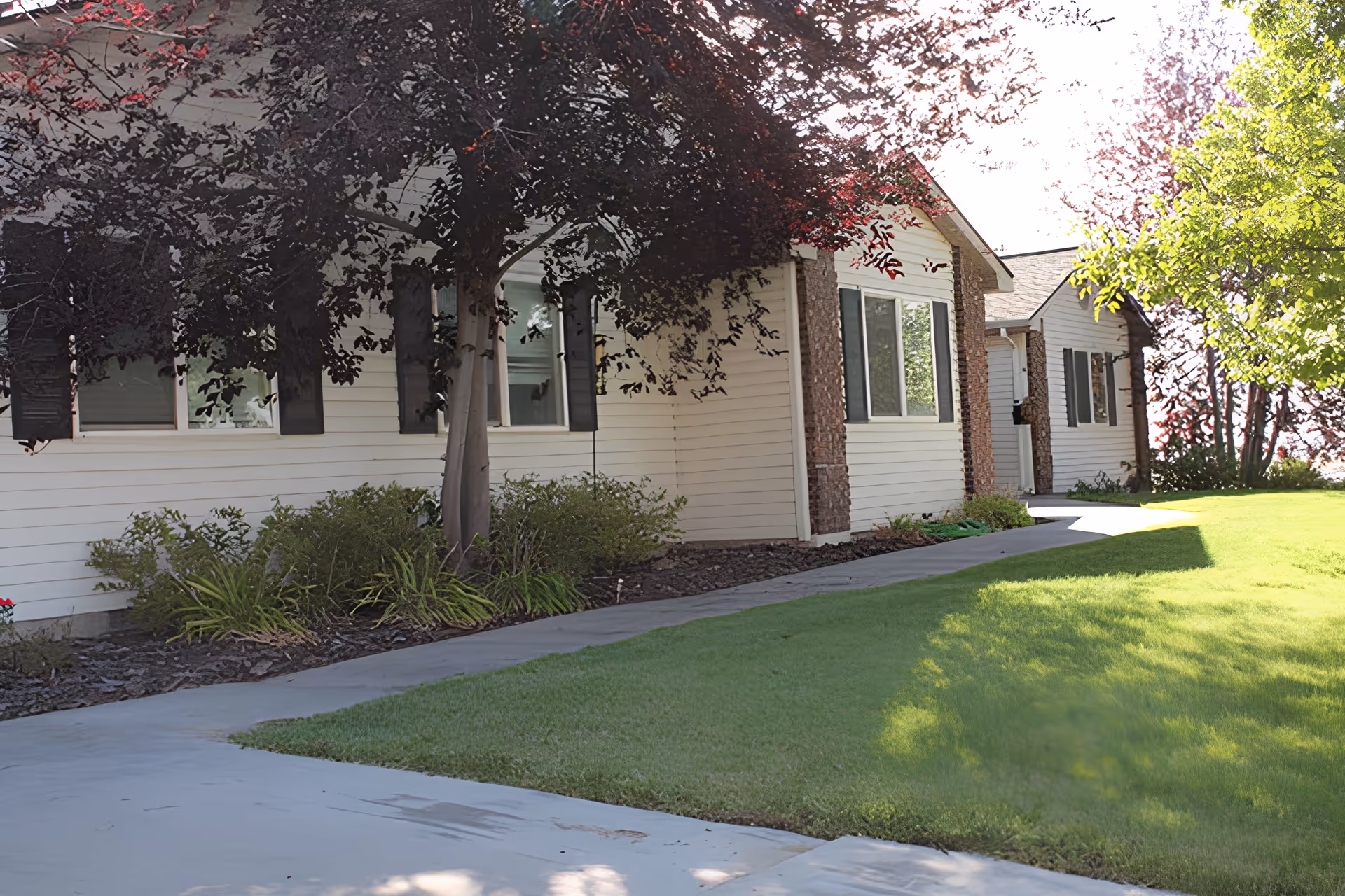 Photo of Ashley Manor Senior Living