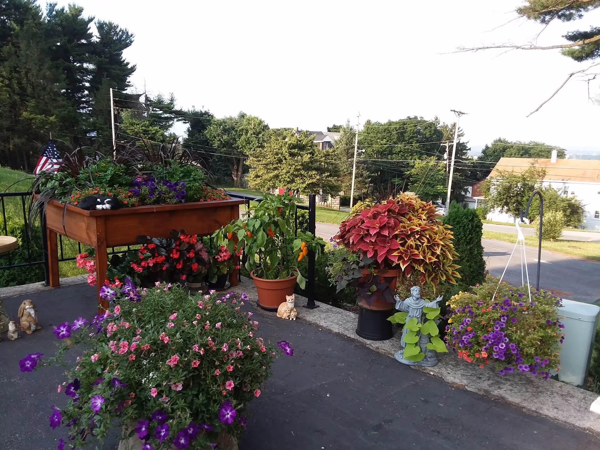 Outdoor patio area with various potted plants and flowers, including a raised wooden planter, colorful blooms, and decorative garden statues. Trees and houses are visible in the background under a clear sky.