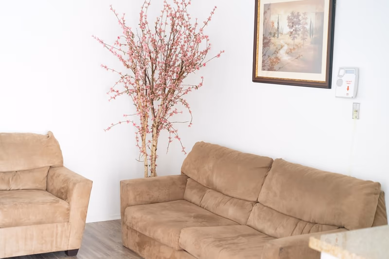 A cozy seating area with a beige armchair and a matching beige sofa against a white wall. A tall decorative branch with pink blossoms is placed in the corner between the two seats. A framed picture hangs on the wall above the sofa, and a wall-mounted emergency pull station is visible next to it.