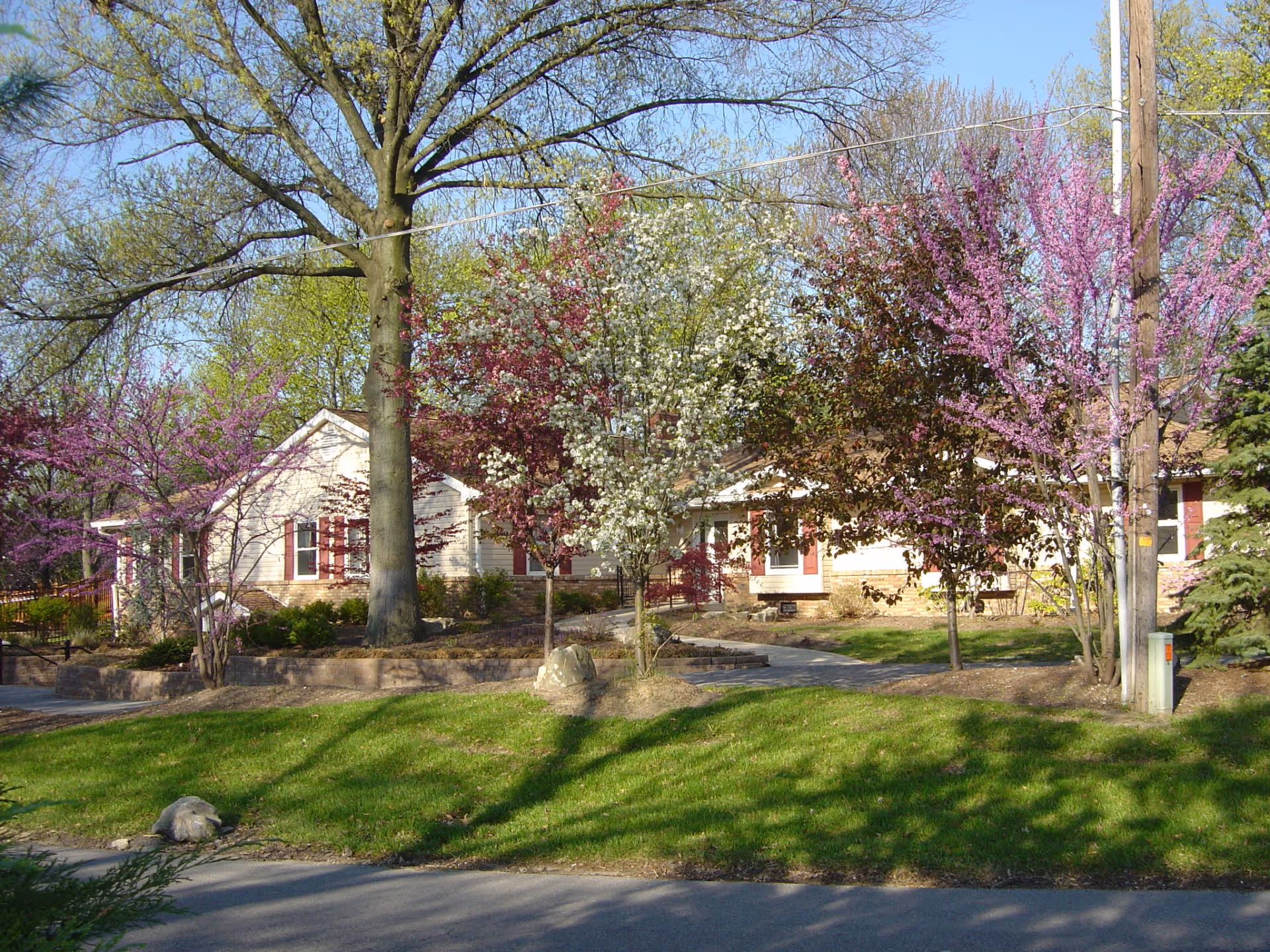 A single-story building partially obscured by several trees with pink, white, and red blossoms in a landscaped garden area. The building has light-colored siding with red shutters and a stone foundation. The foreground shows a grassy area and a paved road.