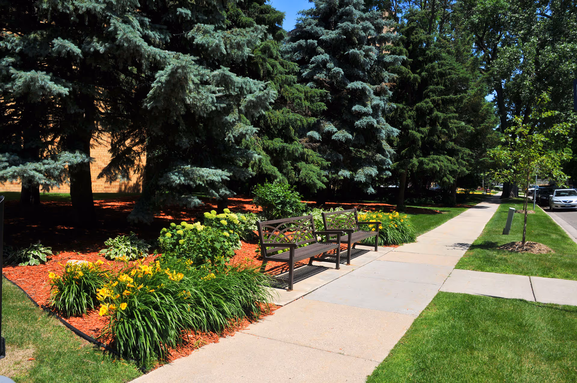 Photo 7 of The Wellington Senior Living