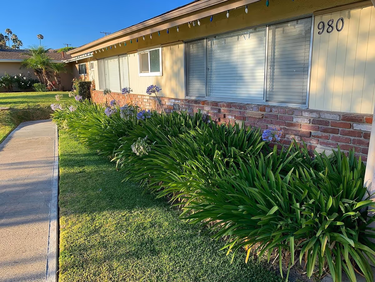 Exterior view of a single-story building with beige siding and a brick lower wall. There are several windows with closed blinds and the number 980 displayed near the top right corner. A concrete walkway runs alongside a well-maintained lawn and a row of green plants with purple flowers. The sky is clear and blue.