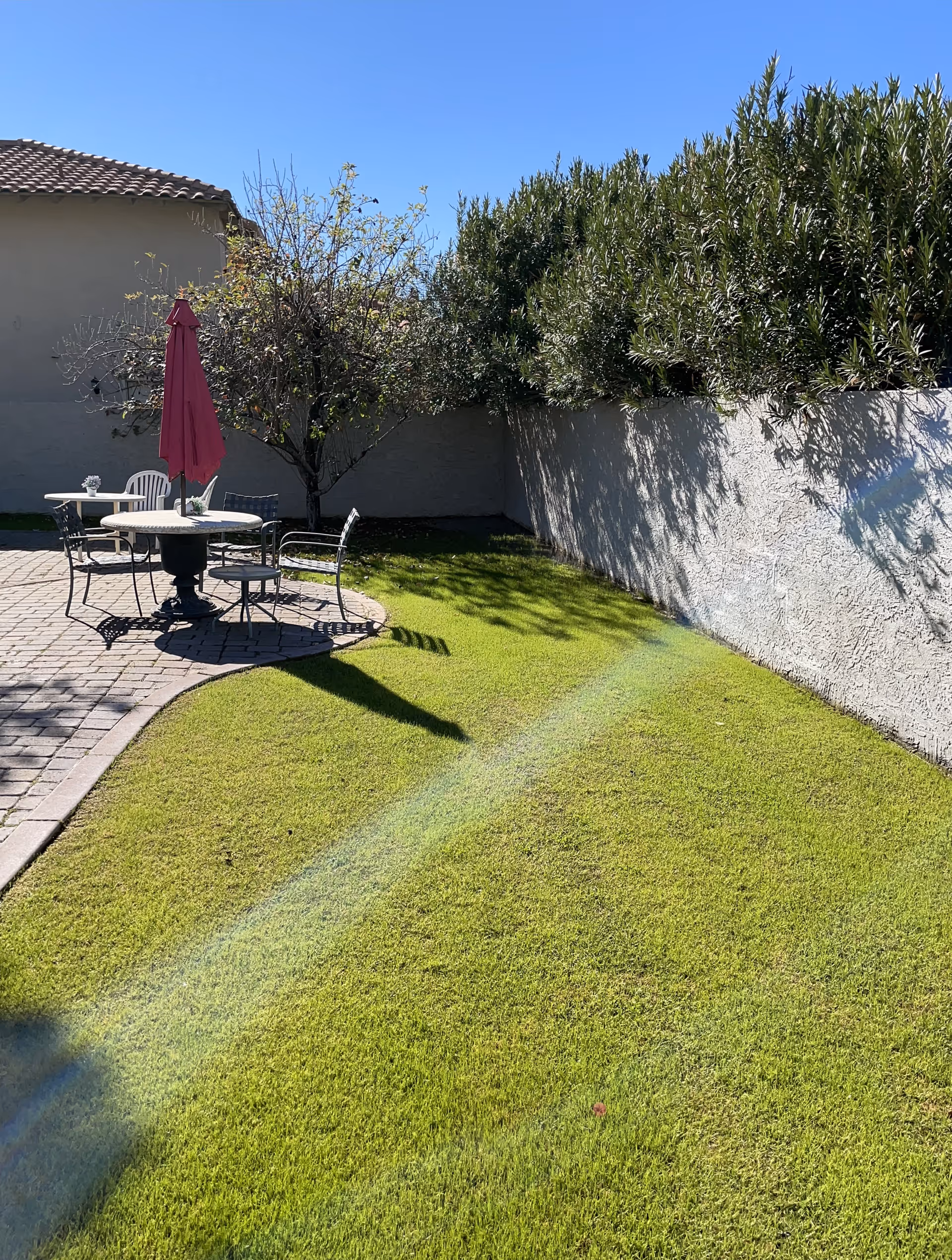 Outdoor patio area with a round table, four chairs, and a closed red umbrella on a paved surface next to a green lawn. There is a tree and a tall hedge along a white stucco wall under a clear blue sky.