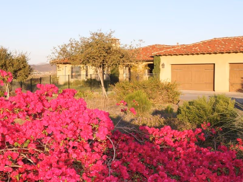 Exterior view of a single-story building with a red tile roof and two wooden garage doors, surrounded by various green shrubs and vibrant pink flowering bushes in the foreground under a clear sky.