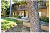 Exterior view of Leisure Manor Apartments showing a two-story building with balconies on the upper floor and patios on the ground floor. There are chairs placed outside some units, surrounded by greenery including a large tree and grass.
