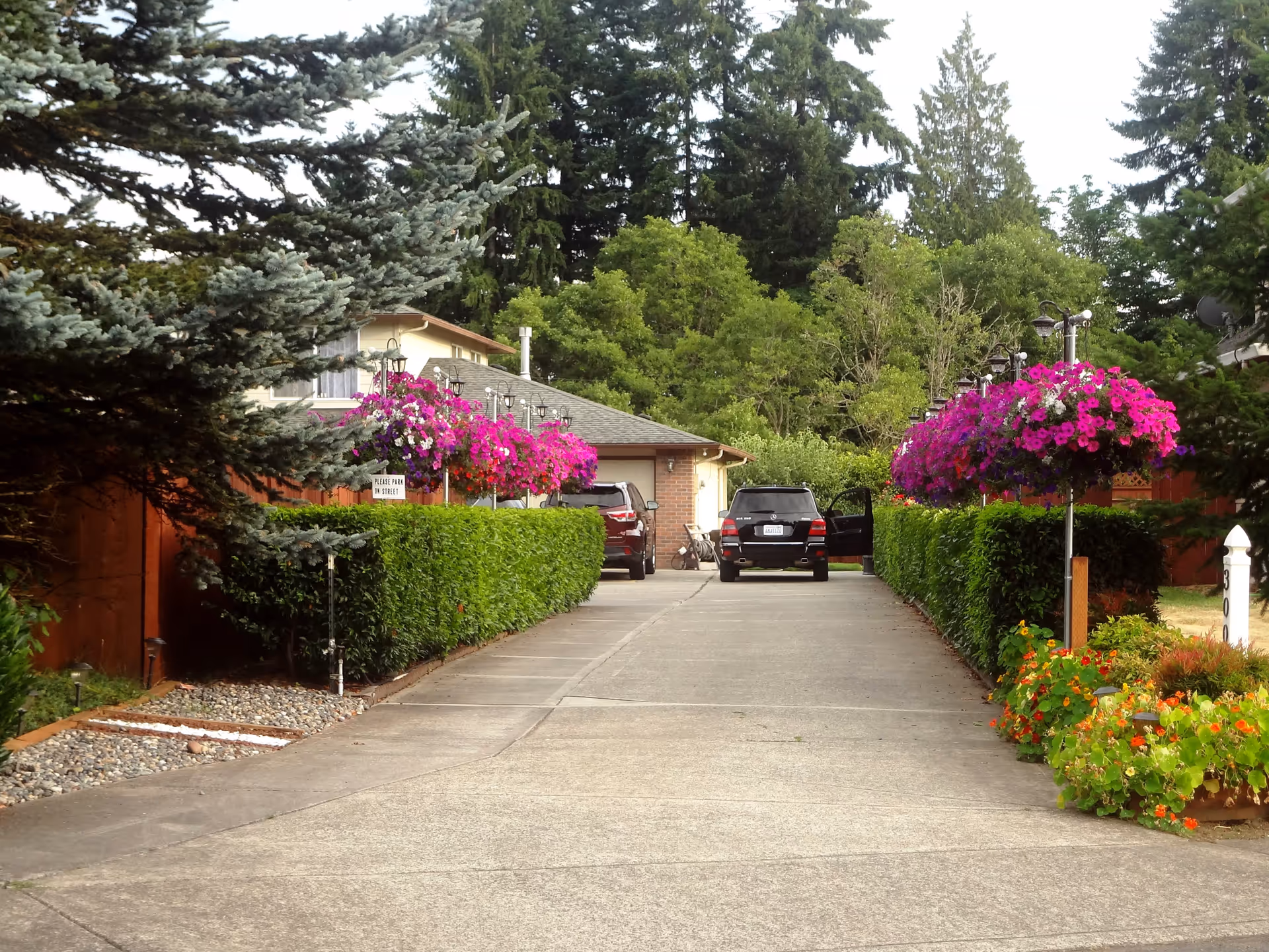 Driveway leading to a residential building with two parked cars, surrounded by green hedges and vibrant hanging flower baskets. Tall trees and a clear sky are visible in the background.
