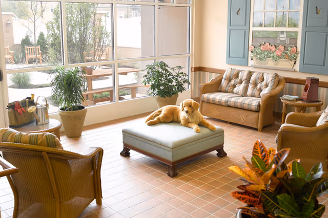 A bright and cozy living room with wicker furniture including a sofa and chairs arranged around a central upholstered ottoman. A golden retriever dog is lying on the ottoman. Large windows let in natural light and show an outdoor patio area. There are several potted plants inside and a decorative painting on the wall with blue shutters.