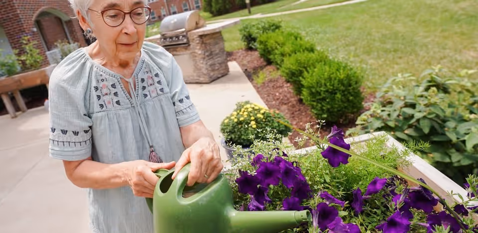 An elderly woman wearing glasses and a light blue embroidered blouse is watering purple flowers in a garden bed outside on a sunny day, with green bushes and a building visible in the background.