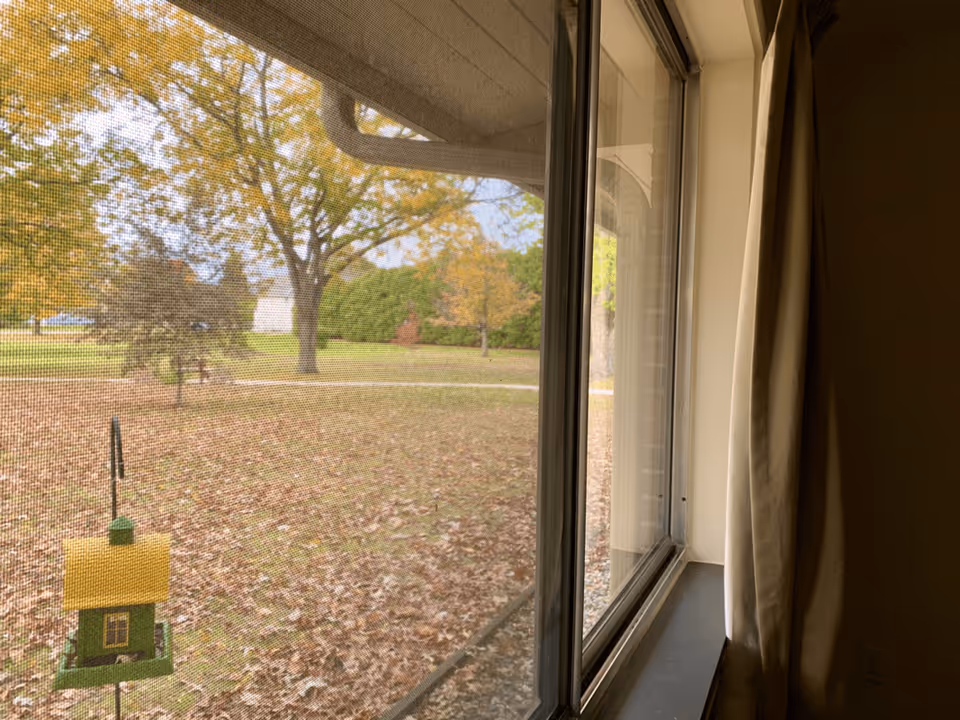 View through a window with a screen showing an outdoor scene with autumn trees, fallen leaves on the ground, a small green and yellow bird feeder hanging outside, and a pathway in the background. Inside, part of a beige curtain and a window sill are visible.