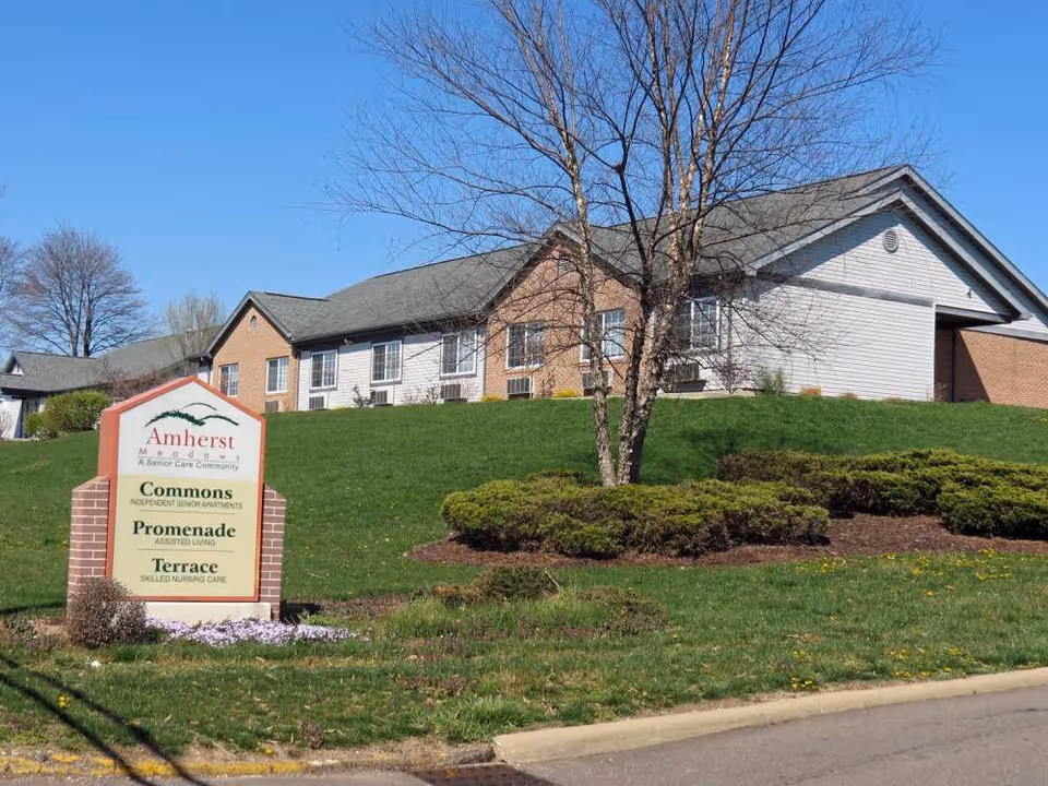 Exterior view of Amherst Meadows Skilled Nursing and Rehab facility with a green lawn, bushes, and a tree in front. A sign in the foreground lists Commons Independent Senior Apartments, Promenade Assisted Living, and Terrace Skilled Nursing Care. The building is a single-story structure with brick and siding under a clear blue sky.