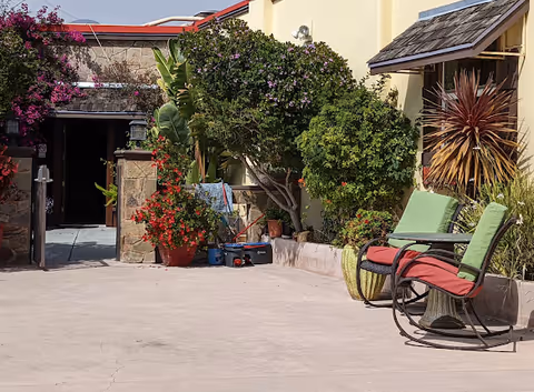 Outdoor patio area with two cushioned chairs, various potted plants, and a stone wall with an open doorway leading inside. The area is sunny with a clear sky visible above.