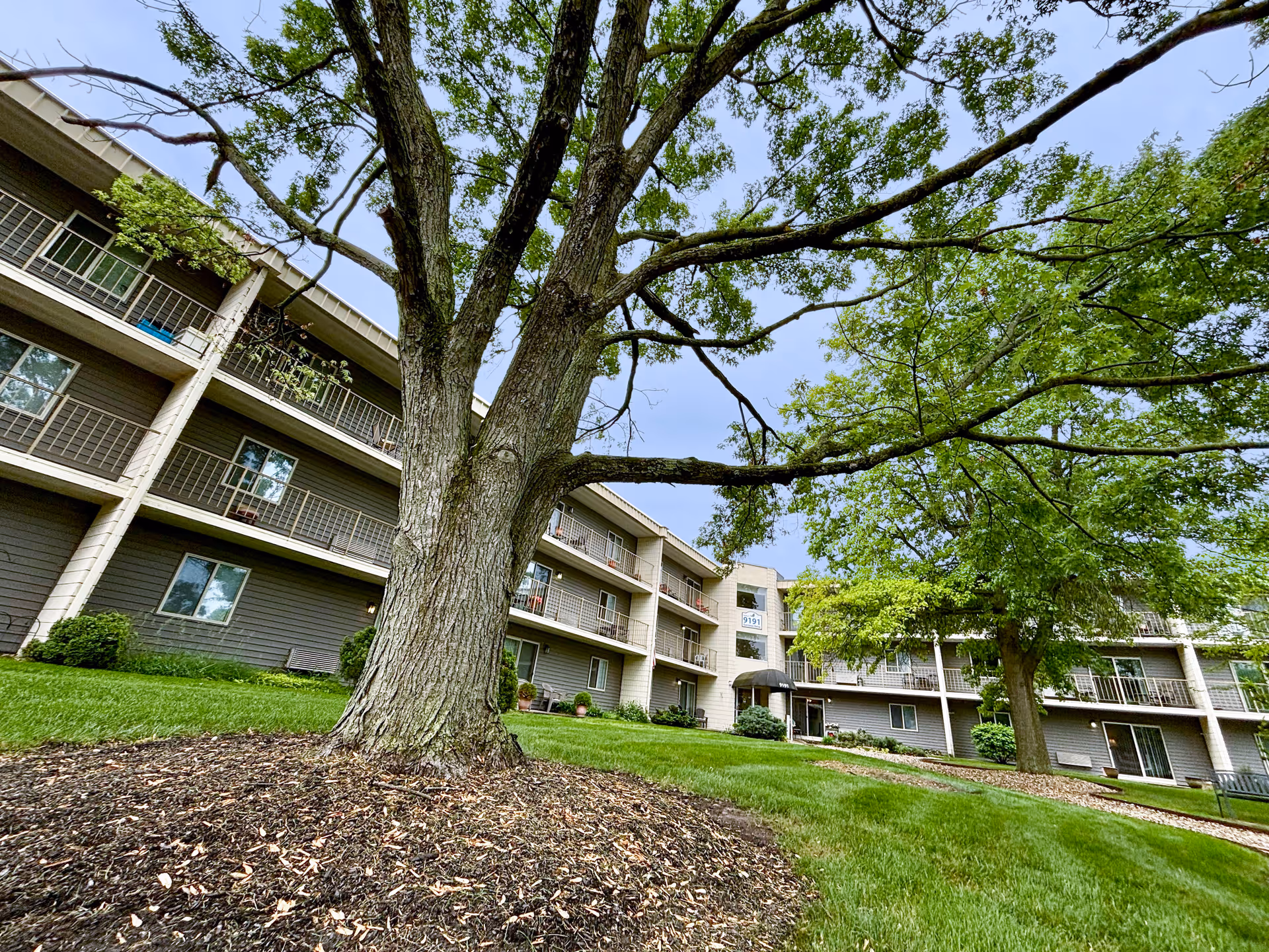 Exterior view of a multi-story senior living facility building with balconies, surrounded by green grass and large trees under a clear sky.