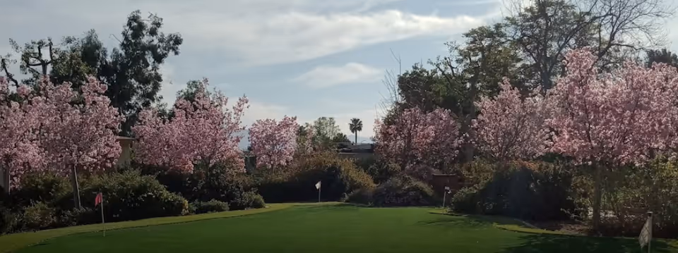 Photo 13 of Nikkei Senior Gardens