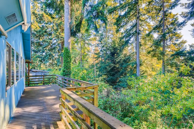 Wooden deck attached to a blue building, surrounded by tall trees and lush green foliage under a clear sky.