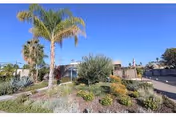 Outdoor landscaped area with various plants and shrubs, including palm trees, in front of a building under a clear blue sky.