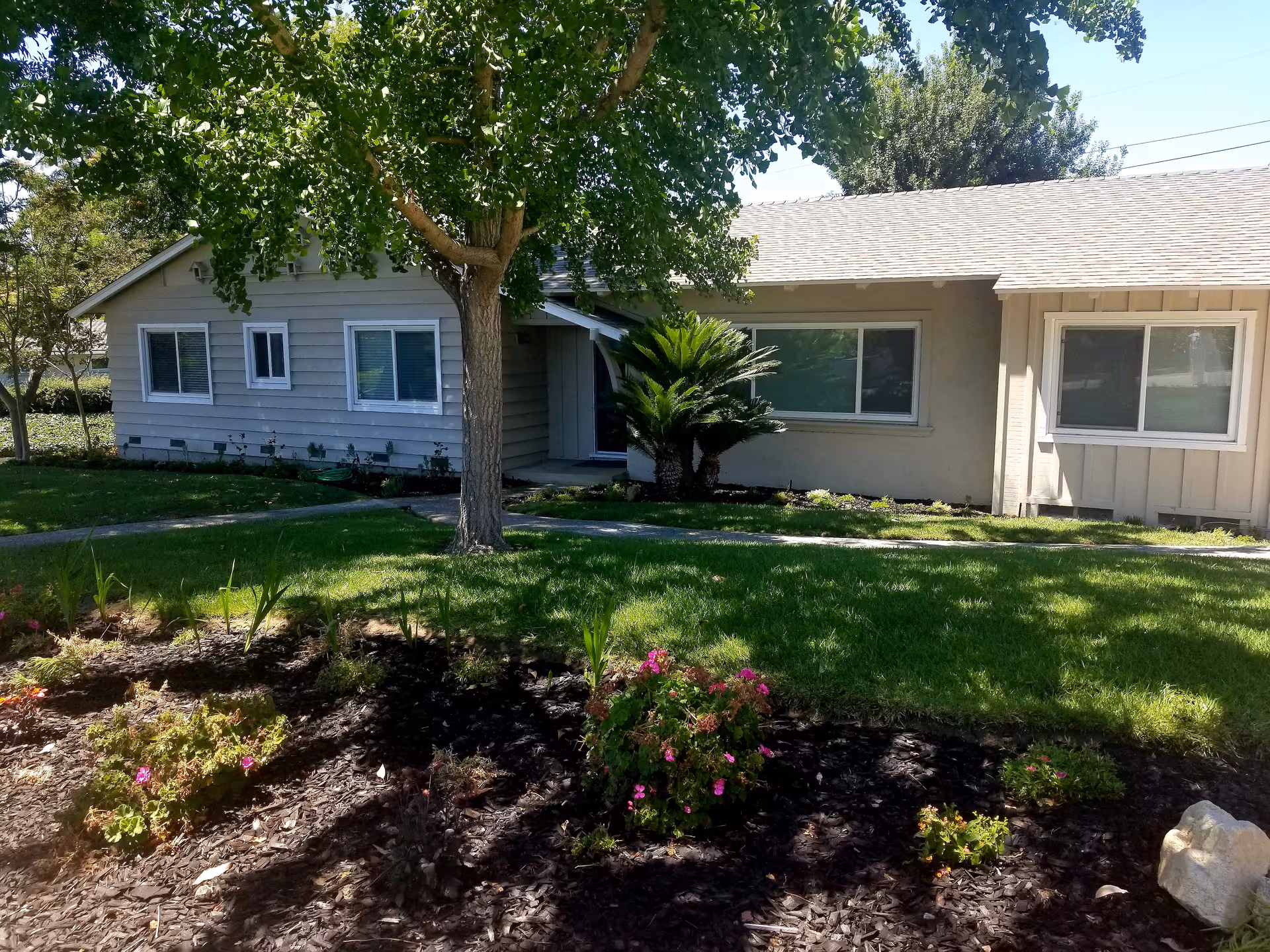Exterior view of a single-story residential building with beige siding and multiple windows, surrounded by a well-maintained lawn, a tree, and flower beds with blooming plants under a clear sky.