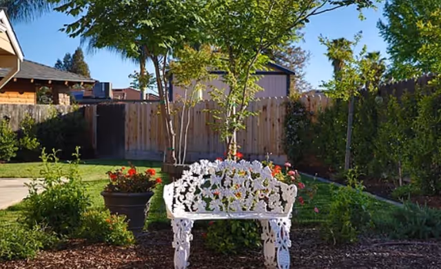 A white ornate metal bench in a garden area with green plants, flowers, and trees. There is a wooden fence and a small shed in the background under a clear blue sky.