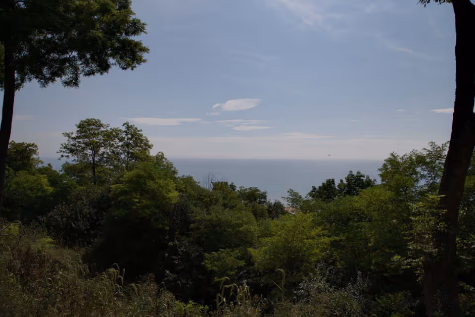 View of a large body of water seen beyond a dense area of green trees and foliage under a partly cloudy sky.