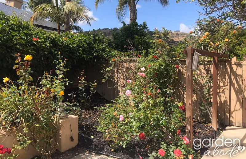 A garden area with various blooming flowers including yellow, pink, and red roses. There are palm trees and other greenery in the background, with a wooden fence enclosing the garden. The sky is clear and blue, and there is a wooden frame structure on the right side of the image.