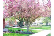 Photo 12 of Brookline Village and Cottages Senior Living