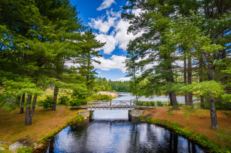 A scenic outdoor view featuring a small wooden bridge over a calm stream surrounded by tall green trees and grassy areas under a partly cloudy blue sky.