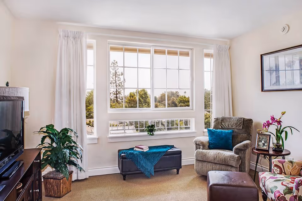 A cozy living room with a large window showing trees outside. The room features a comfortable armchair with a blue cushion, a small side table with a vase of purple flowers and framed photos, a patterned armchair, a dark ottoman with a blue throw and books on top, a TV on a wooden stand, and a potted plant next to the window.