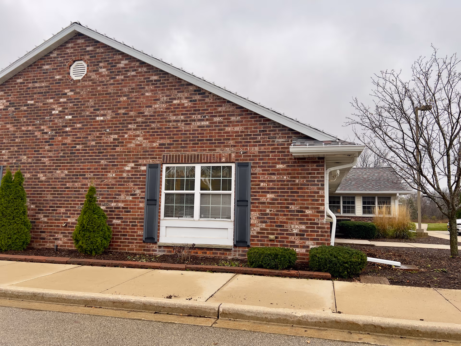Exterior view of a brick building with a window featuring white trim and dark shutters. There are small green bushes and trees planted along the sidewalk in front of the building. The sky is overcast.