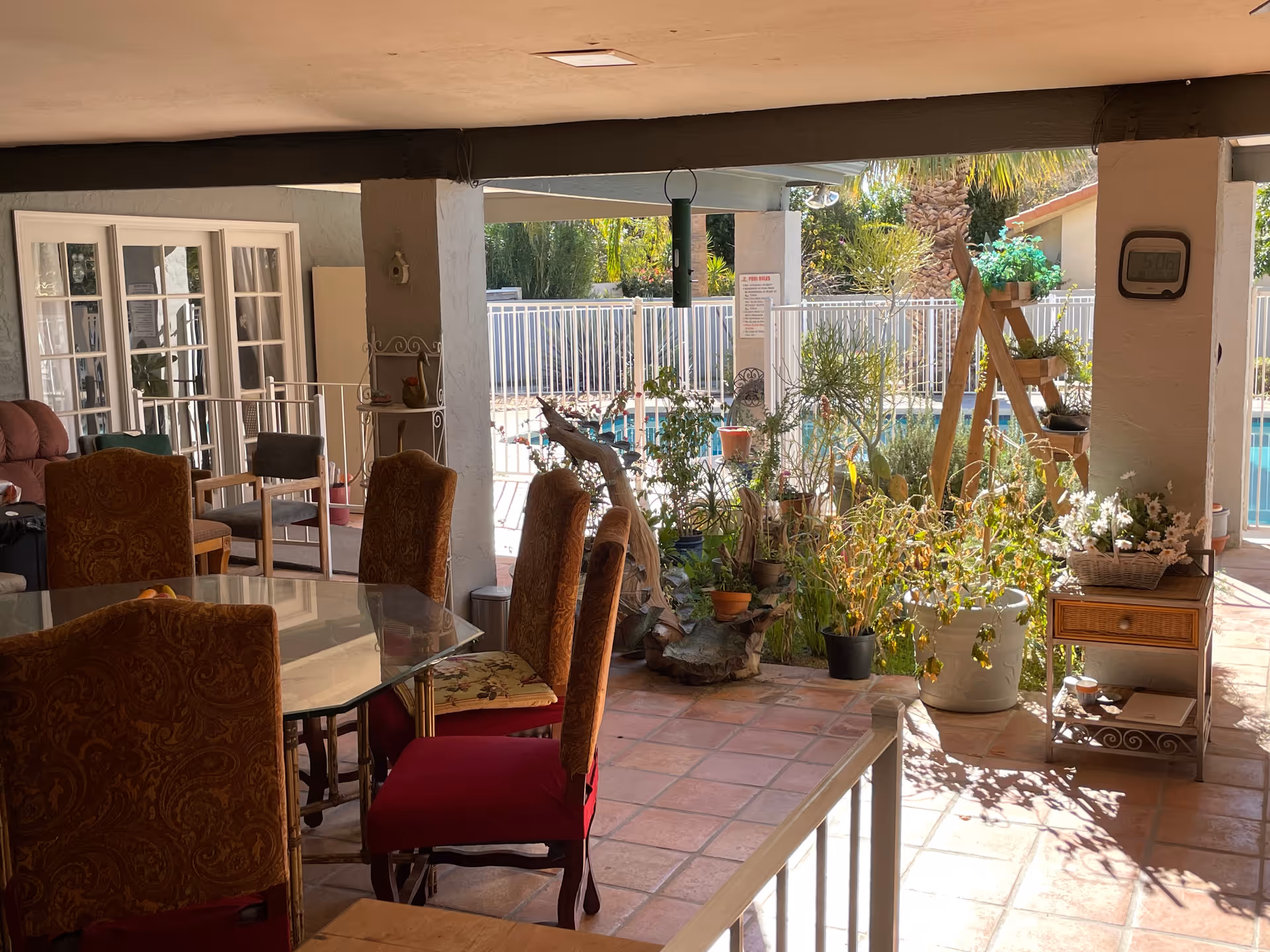 Covered patio area with a glass dining table surrounded by upholstered chairs. Various potted plants and greenery are arranged near the open side of the patio, which overlooks a fenced swimming pool. The area is sunlit and has terracotta tile flooring.