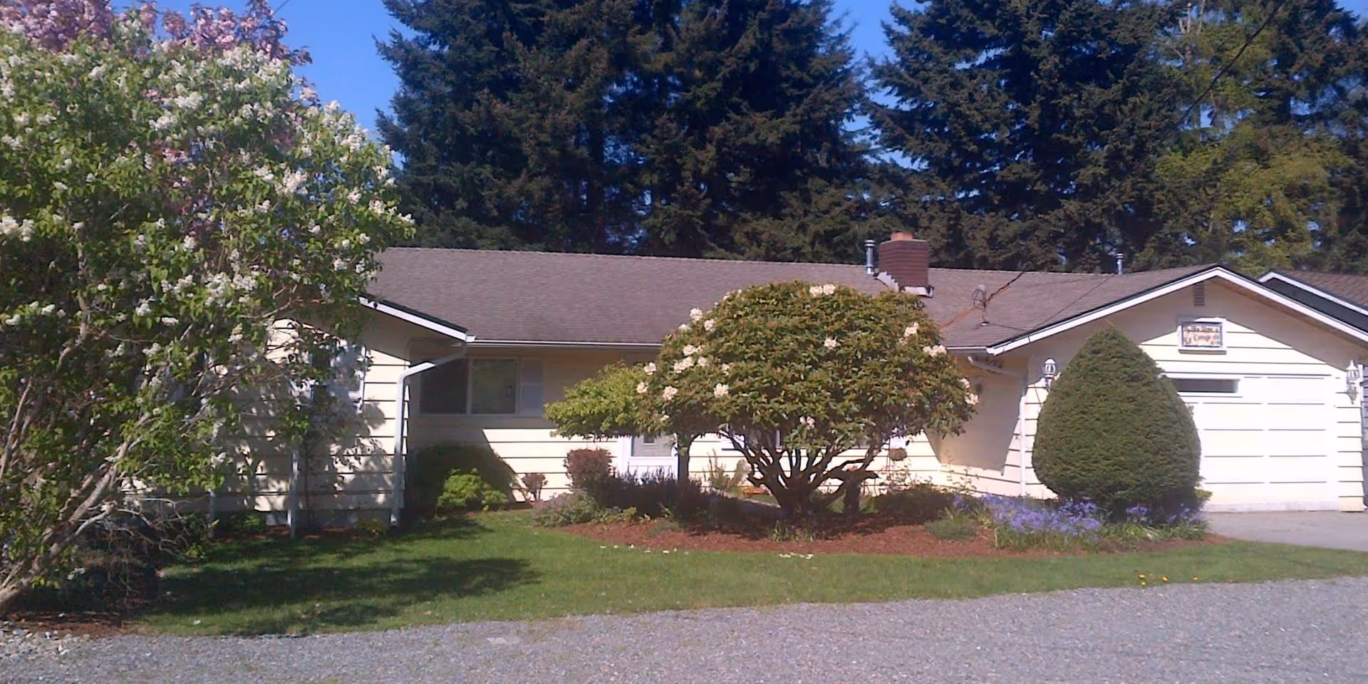 Exterior view of a single-story house with light yellow siding, a gray roof, and a chimney. The front yard features green grass, a gravel driveway, and several well-maintained bushes and flowering trees. Tall evergreen trees are visible in the background under a clear blue sky.