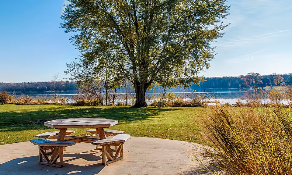Outdoor scene at Maplewood at Chardon featuring a wooden picnic table with attached benches on a concrete patio, green grass, a large tree, and a lake in the background under a clear blue sky.