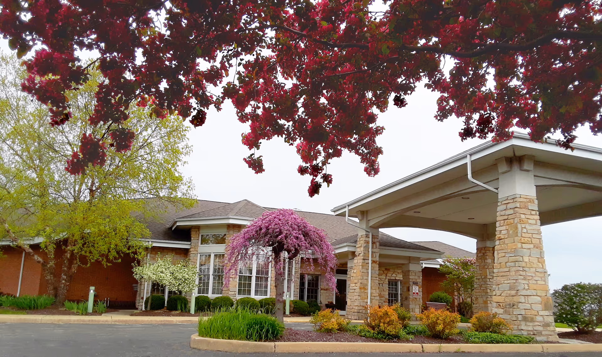 Exterior view of Wesleyan Meadows facility showing a covered entrance supported by stone pillars, surrounded by landscaped greenery including a small tree with pink blossoms and other bushes. The building has large windows and a brick and stone facade. Overhanging branches with red flowers frame the top of the image.